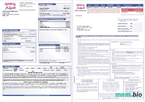 Zjednoczone Emiraty Arabskie Investment Bank wyciąg z kredytu hipotecznego w formatach Word i PDF, 3 strony 1-2